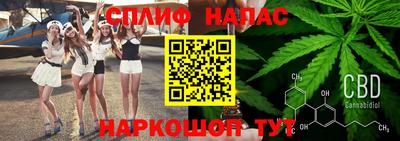 прущие грибы Ликино-Дулёво