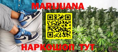 гашик Ливны