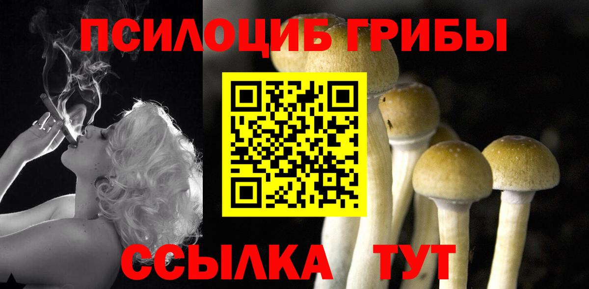 Волгодонск  Галлюциногенные грибы GOLDEN TEACHER  Вход с VPN 